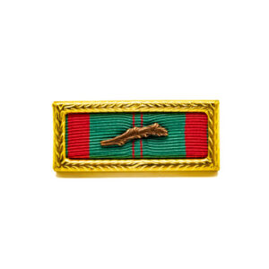 Republic of Vietnam Civil Action Unit Citation
